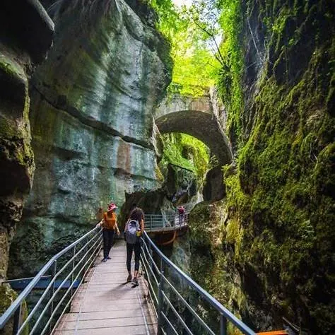 Passerelle des Gorges du Fier